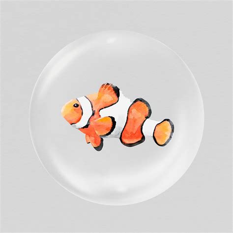 Clownfish Illustration Images Free Photos PNG Stickers Wallpapers