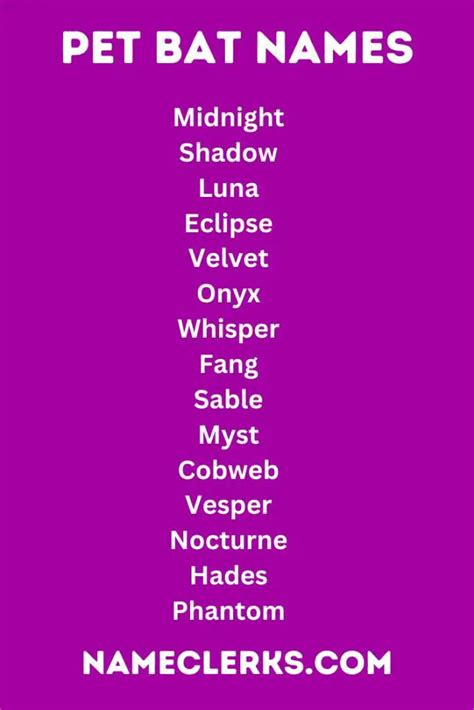 Bat Names (from Mythical to Modern, 600+ Unique Choices)