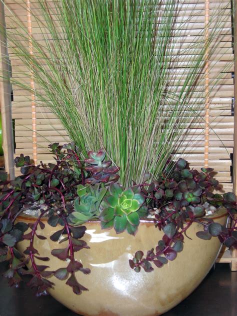 B. Greene Designs: Floral Arrangement With Grass and Succulent