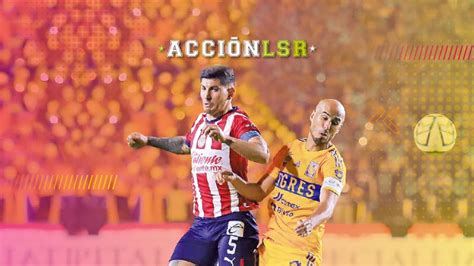 Chivas Vs Tigres El Camino A La Final De Liga Mx La Silla Rota