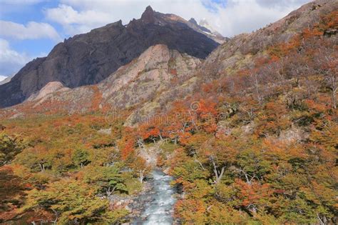 Small Trees By The Mountain Stream At Autumn Day Los Glaciares