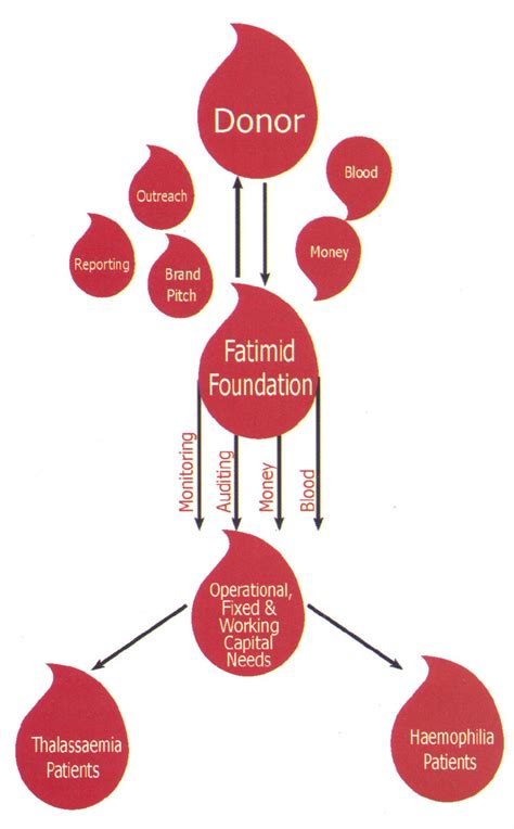 Blood Donation Chart