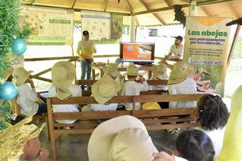 Ni Os Y Adolescentes Conocieron La Importancia De Las Abejas Para La