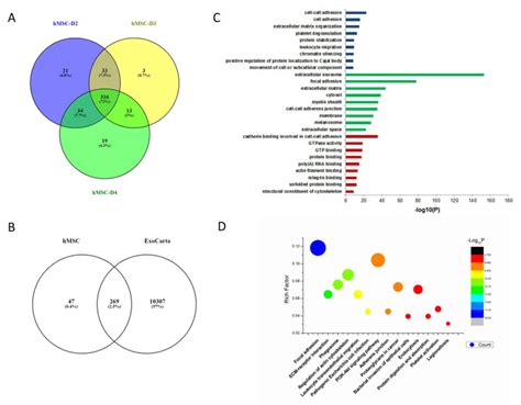 Proteomic Analysis Of Exosomes Secreted From Human Alpha Antitrypsin