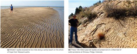 Learning Geology Sedimentary Structures