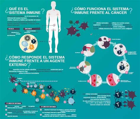 Disponible La Primera Inmunoterapia Para C Ncer De Vejiga Y De Pulm N