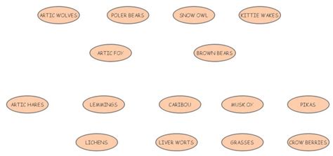 Clone Of Alis Food Web Insight Maker