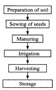 NCERT Solutions For Class 8 Science Chapter 1 Crop Production And