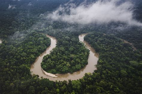 Amazon Rainforest Reaching Tipping Point Of Dieback Study Finds