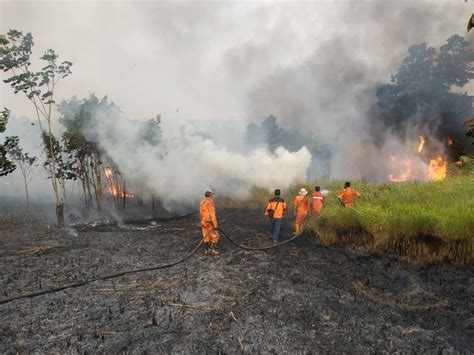 Inilah Dampak Kebakaran Hutan Dan Lahan Serta Penyakit Yang Ditimbulkan