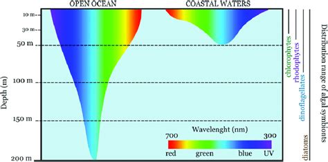 Light Penetration In Oceanic And Coastal Waters And The Known Vertical