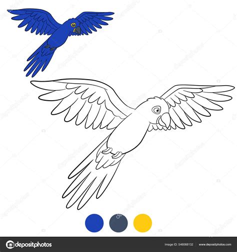 P Ssaros Para Colorir Papagaio Feliz Bonito Azul Arara Voa Sorri Vetor