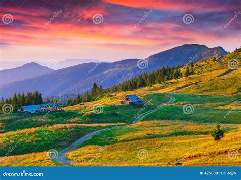 Colorful Summer Sunrise in Mountains Stock Image - Image of flower ...