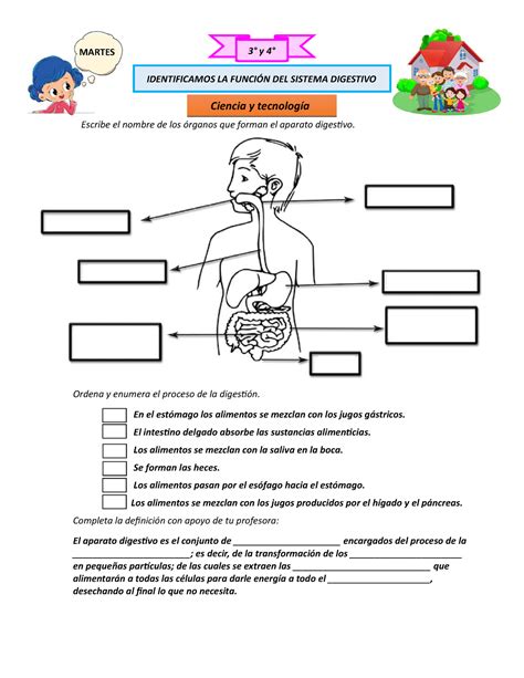 Ficha Ciencia Y Tecniologia LA Funcion DEL Sistema Digestivo Escribe