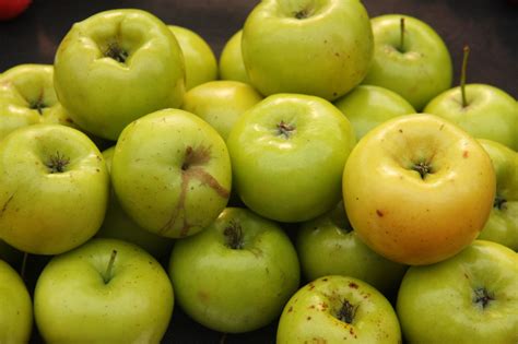 Malus Cultivars J-K - Trees and Shrubs Online