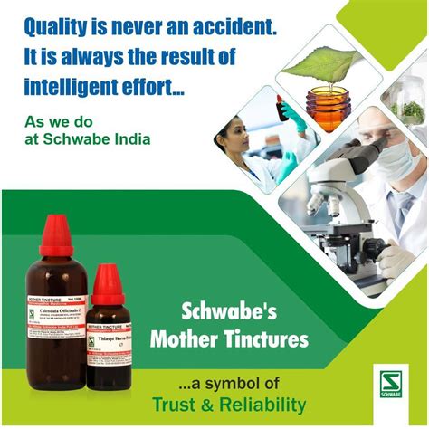 Buy Dr Willmar Schwabe India Sabal Serrulata Q Mother Tincture Ml