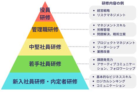 階層別研修とは？種類や目的、教育の体系図、学ぶべきカリキュラムを紹介 Eラーニングマーケット