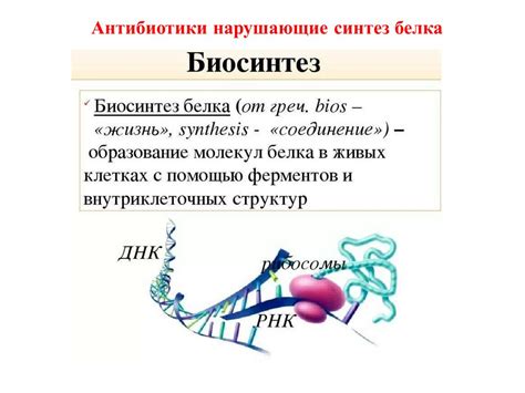 Антибиотики. Противомикробные и противопаразитарные средства. Часть 1 ...