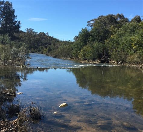 Murrumbidgee River Corridor Has A Long And Rich History Riotact