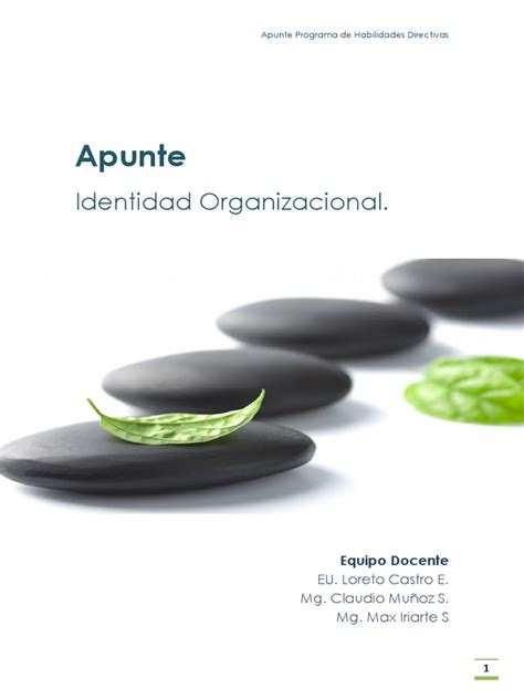 Apunte Identidad Organizacional Pdf Comunicación Sicología