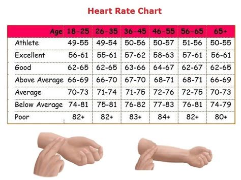 Resting Heart Rate Chart By Age World Of Printable And Chart