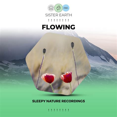 Flowing Sleepy Nature Recordings Album By Soothing Natur