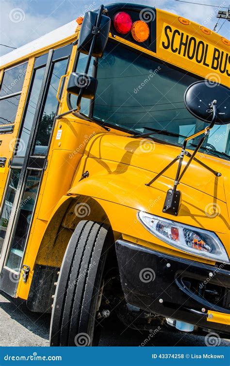 School Bus Stock Photo Image 43374258