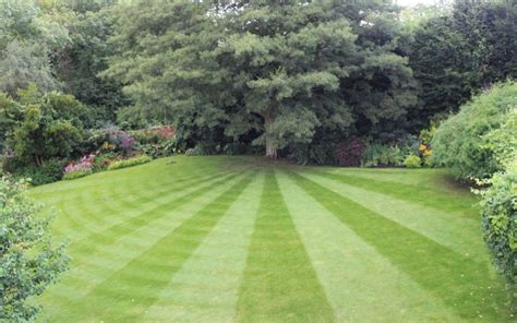 Unique Lawn Striping Patterns