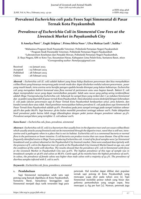 PDF Prevalensi Escherichia Coli Pada Feses Sapi Simmental Di Pasar