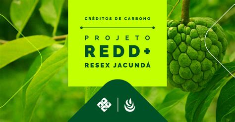 Projeto REDD RESEX Jacundá Biofílica Ambipar Environment