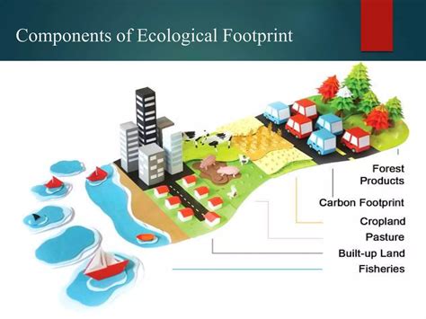 Ecological Footprint Ppt