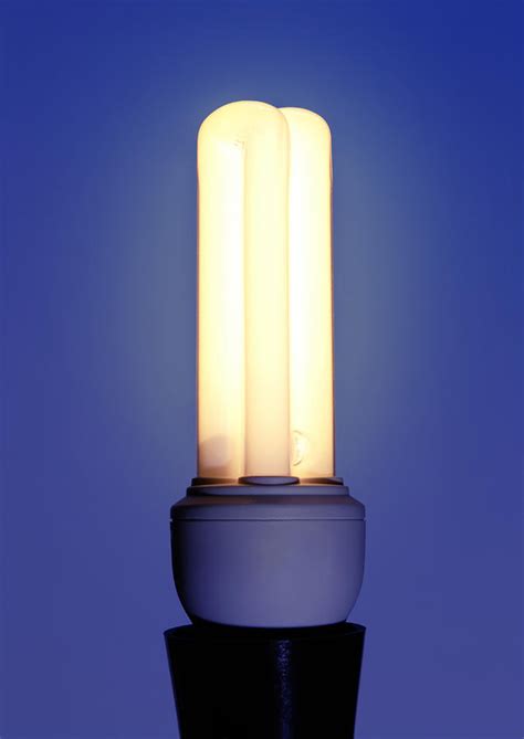 Energy Saving Light Bulb By Cordelia Molloy