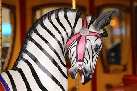 107 Carousel Zebra Images, Stock Photos, 3D objects, & Vectors | Shutterstock