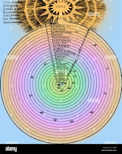 Color Enhanced Historical Diagram Illustrating The Grafting Of