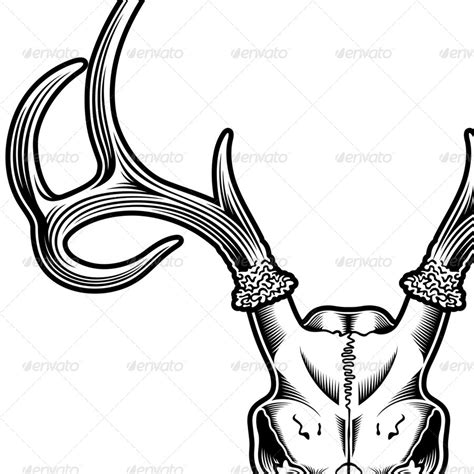 Deer Skull Drawing | Free download on ClipArtMag