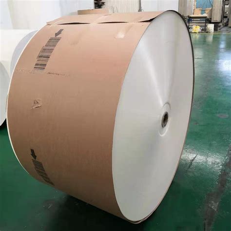 Disposable Waterproof Double Pe Coated Paper Roll For Paper Cup China