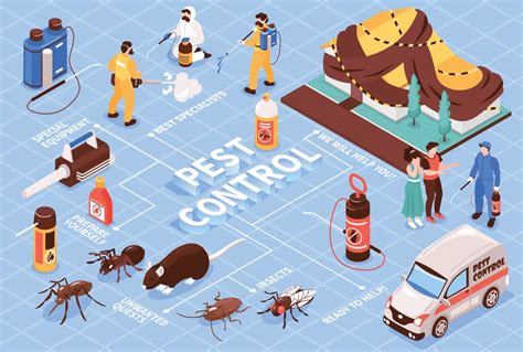 10 Things To Keep In Mind When Hiring A Pest Control Company In Okc