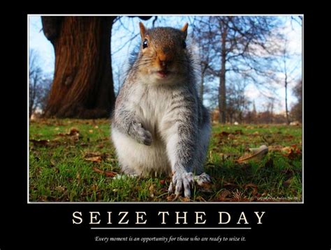 Carpe Diem: Seize the Day! | Dr. Michael Wayne