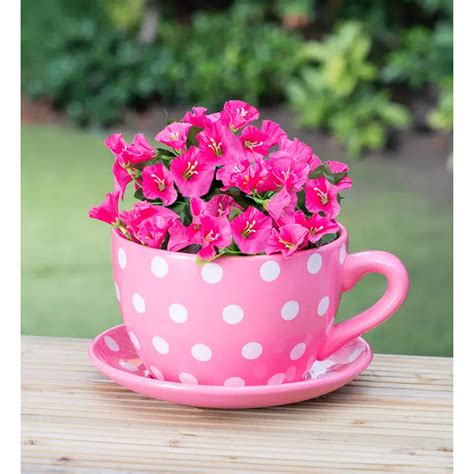 Diy Comment Transformer Une Tasse De Th En Un Joli Pot De Fleurs