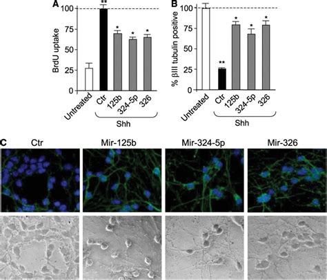 R 125b Mir 324 5p And Mir 326 Antagonize Shh Effect Of Gcp Download Scientific Diagram