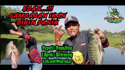 Edan Baru Kali Ini Sambaran Ikan Bikin Panik Mancing Saguling