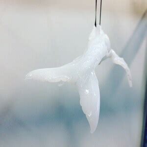 Migaloo The White Humpback Whale Of Australia Glass Humpback Ornament