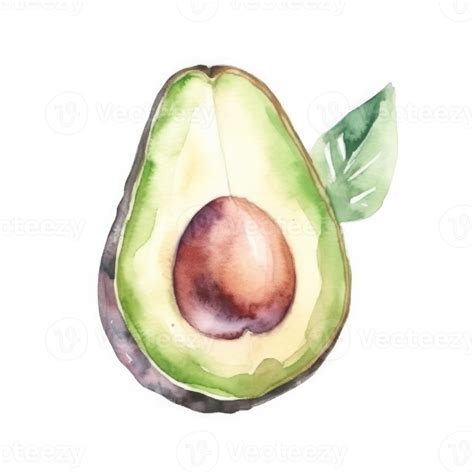 Watercolor Avocado Isolated 22918207 Png