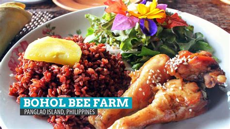 Bohol Bee Farm A Bee Autiful Dining Experience In Panglao Island The