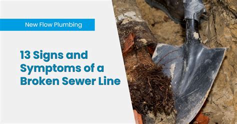 13 Signs And Symptoms Of A Broken Sewer Line New Flow Plumbing