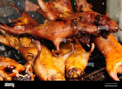 Traditional Delicious Food Of South America Roasted Guinea Pig Cuy