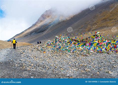 Backpackers On Trekking Path At Thorang La Pass Annapurna Conservation