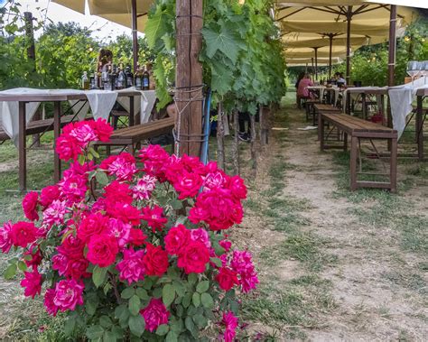 Tenuta Torciano Winery San Gimignano Italy Tenuta Torcia Flickr