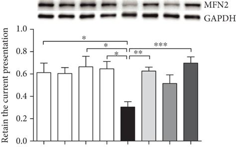 Western Blot Analysis Of The Relative Protein Expression Of The Download Scientific Diagram