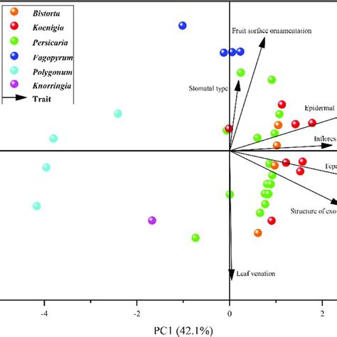 Principal Component Analysis Pca Performed With Qualitative Download Scientific Diagram